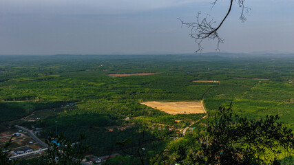 Obraz premium Stunning green nature panoramic view