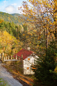Athanasios diakos, Fokida, Greece. An old house stands alone between the trees, by an old dirt road. The forest at the background.