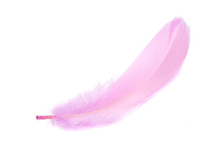 Pink fluffy feather isolated on the white