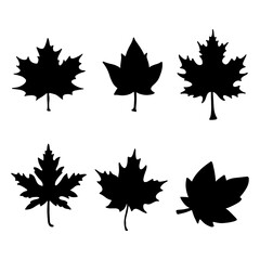 Isolated maple leaves on the white background. leaves silhouettes. Vector EPS 10.