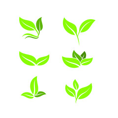 Vector collection with green leaves in flat style for icons and graphic design 