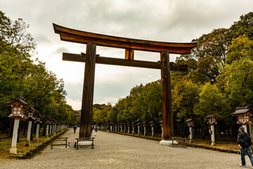 鳥居と参道