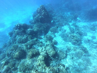 DCIM\101GOPRO\G0841700.JPG