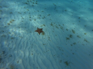 DCIM\101GOPRO\G1242076.JPG