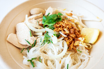 Delicious homemade Vietnamese soup Pho cooked with rice noodles, coriander leaves, soy sprouts, onions and chicken pieces for a complete and healthy meal