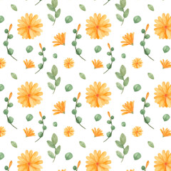 Fototapeta na wymiar Watercolor Yellow Daisies Flowers illustration. Yellow and green floral seamless pattern. Elegant petals and flowers on a white background for decorating. Scrapbook festive clipart. 