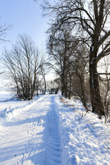 snow-covered winter road