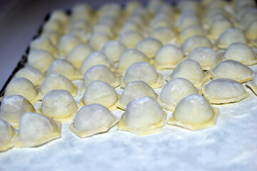 Made meat dumplings on a white baking sheet