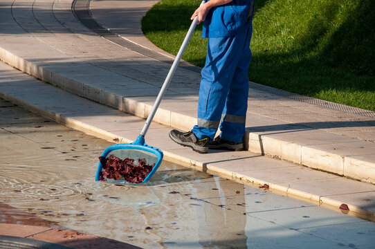the manual worker takes the leaves out of the pool. High quality photo