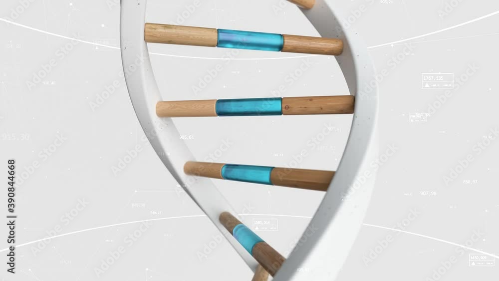 Poster the structure of the human dna rotates against the background of compounds and numbers. conceptual s