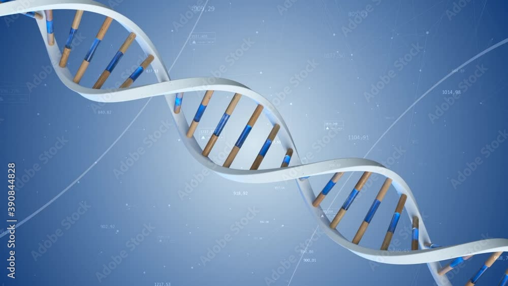 Poster the structure of the human dna rotates against the background of compounds and numbers. conceptual s