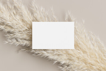White business card mockup with a pampas grass decoration. 85x55mm