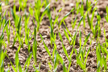 European agricultural technologies