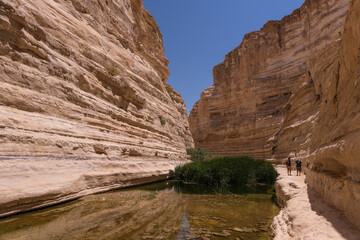 View of Ein Avdat National Park oasis spring, located at the end of a deep canyon, carved by Zin...