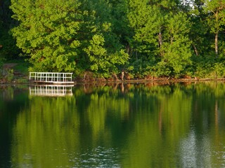 Lush green trees and a floating dock silhouetted in the waters of a lake