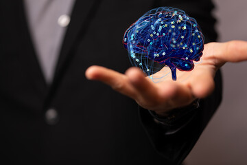 human brain imagination learning and mind