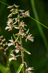 Geo-Pfad bei Achenkirch in Tirol Österreich