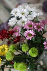 flowers in the garden