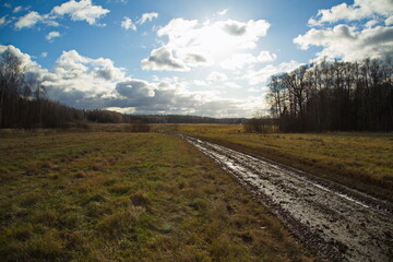Country road in the field after the rain.
