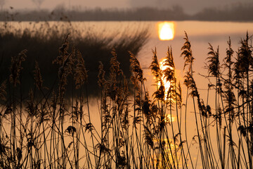 sunrice over Jaroslavice pond, Czech Republic
