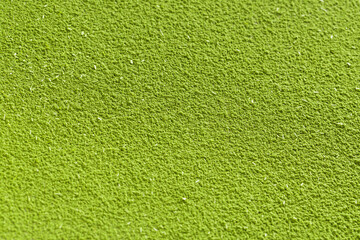 Fototapeta premium Freeze-dried wheat grass powder texture.