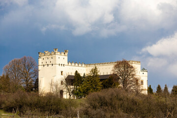 Fototapeta na wymiar Nesovice castle, Southern Moravia, Czech Republic
