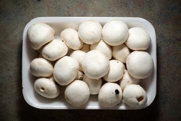 Mushrooms close up