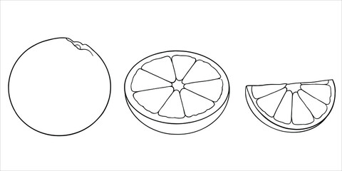 Set of orange fruit vector black and white outline. Isolated linear icon of parts of oranges, a whole orange, a half and a slice of fruit. Good for coloring book.