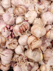 pile of garlic in a market