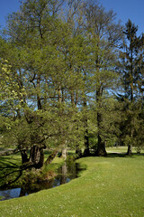 Landscape near Frankfurt am Main in a Park