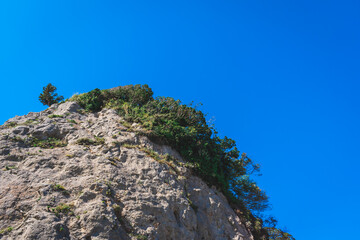 下から見上げた岩壁