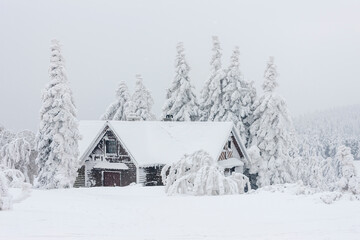 cottage in winter, Orlicke mountains, Czech Republic