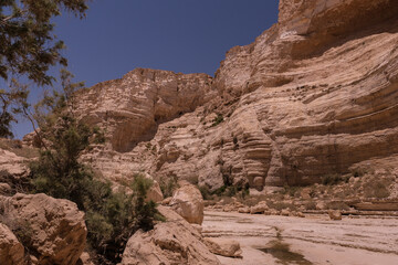 Fototapeta premium View of Ein Avdat National Park oasis spring, located at the end of a deep canyon, carved by Zin stream at the foot of Midreshet Ben Gurion in Kibbutz Sde Boker, Negev desert, Southern Israel, Israel.