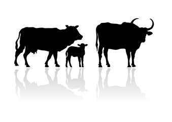 Cattle Family's Silhouette. vector file	
