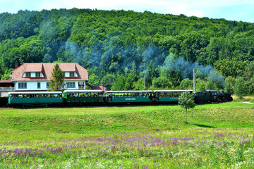 SOVATA, ROMANIA - Aug 14, 2019: The narrow gauge train with tourists from Sovata resort - Romania