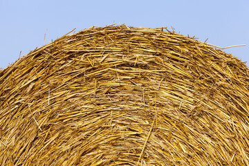 agricultural field with straw stacks