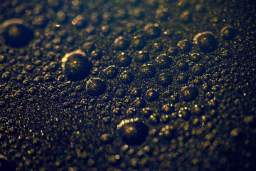 water drops on black, sweden, stockholm,nacka,sverige