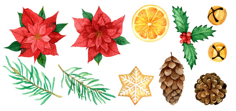 Watercolor Christmas set of poinsettia, cones, fir twigs, bells isolated on a white background. Hand drawing. For stickers, web design, invitations, greetings, Christmas decor, advent.