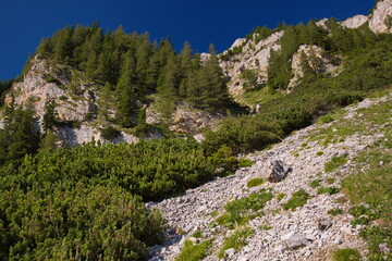 Fototapeta na wymiar Rock formation at the Altenbergersteig to the Rax,Austria,Europe