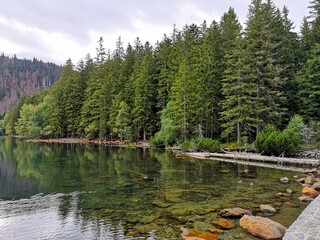 lake in the forest