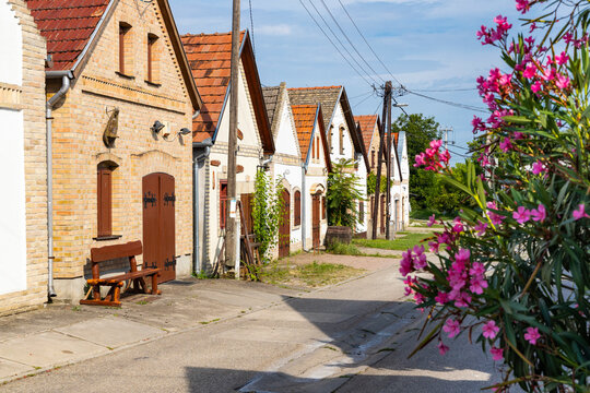 Cellar Lane In Hajos, Kalocsa County, Southern Great Plain Region, Hungary