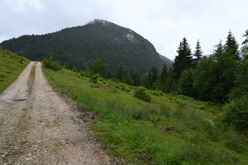 Fototapeta na wymiar Kaiserklamm in Tirol