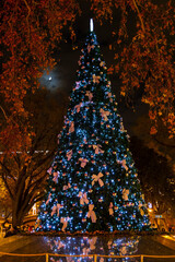 Christmas tree in Vienna, Austria
