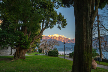 sunset in the park Civic Teresio Olivelli on lake Como . Snowy mountains at background