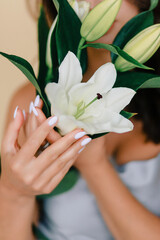 White lilies in female hands with manicure
