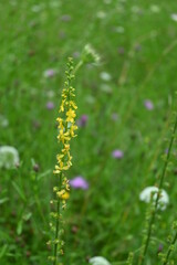 Wandern in der Kaiserklamm in den Tiroler Alpen