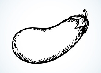 Ripe eggplant. Vector drawing icon