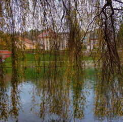 reflection of trees in the water