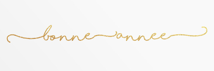 2021 - Bonne ann&eacute;e 2021 - happy new year 2021