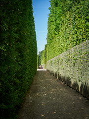 allées dans les jardins du château de Versailles
